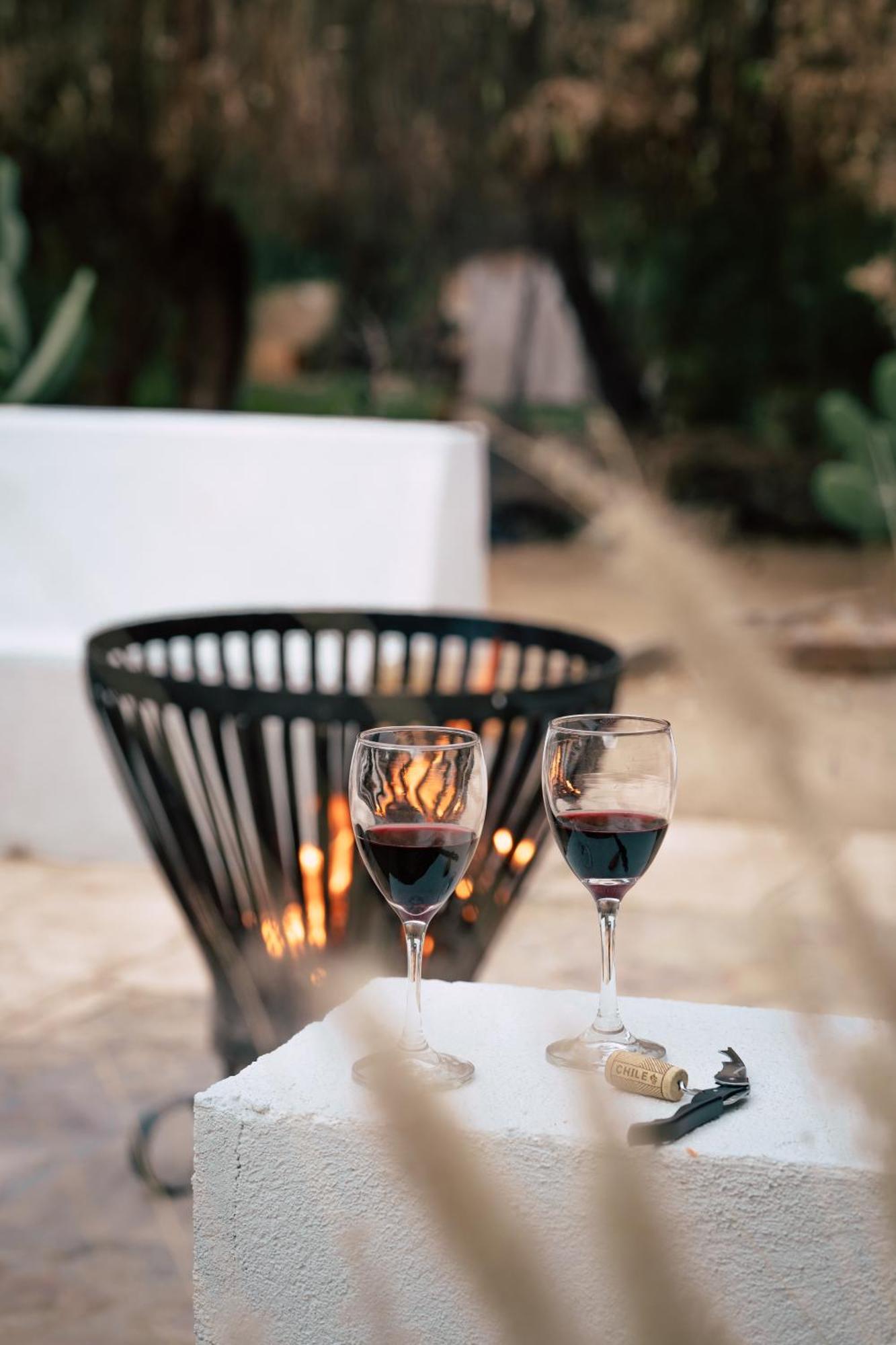 Aldea Del Valle - Elqui Villas, Pisco Elqui Εξωτερικό φωτογραφία