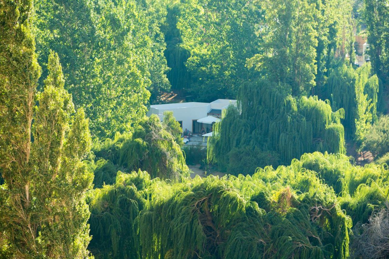 Aldea Del Valle - Elqui Villas, Pisco Elqui Εξωτερικό φωτογραφία