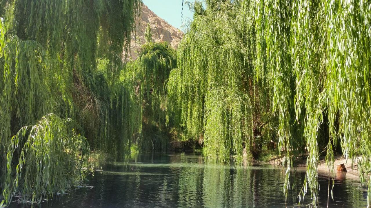 Aldea Del Valle - Elqui Villas, Pisco Elqui Εξωτερικό φωτογραφία